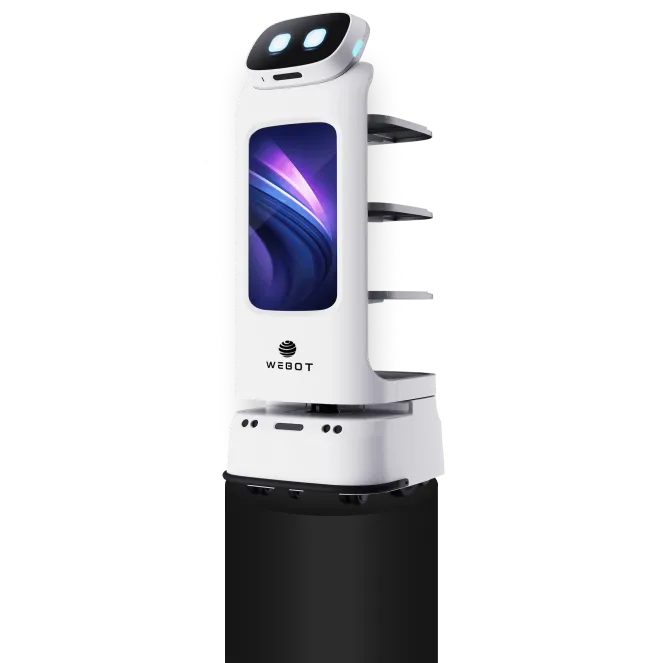 Service robot