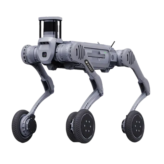 quadruped B2 W