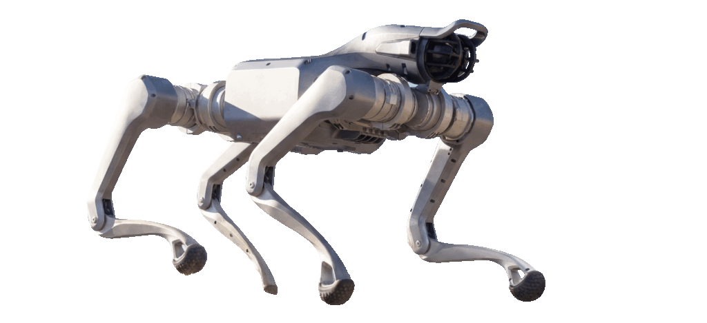 Robot dogs unitree
